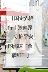 国企先锋行丨张家界：守护平安的那抹“金盾红”