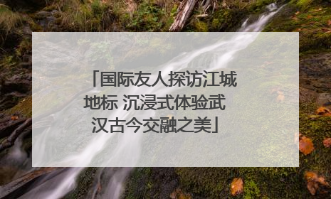 国际友人探访江城地标 沉浸式体验武汉古今交融之美