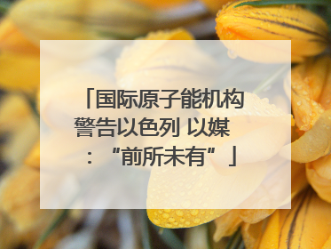 国际原子能机构警告以色列 以媒：“前所未有”