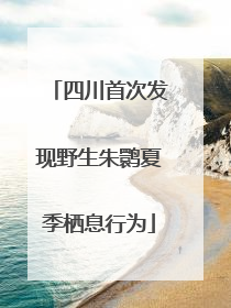 四川首次发现野生朱鹮夏季栖息行为