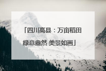 四川高县：万亩稻田绿意盎然 美景如画