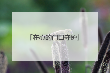 在心的门口守护
