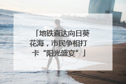 地铁直达向日葵花海，市民争相打卡“阳光盛宴”