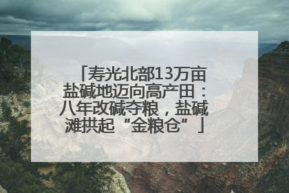 寿光北部13万亩盐碱地迈向高产田：八年改碱夺粮，盐碱滩拱起“金粮仓”