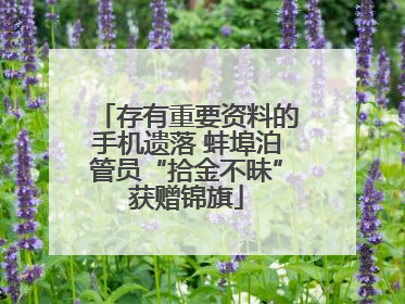 存有重要资料的手机遗落 蚌埠泊管员“拾金不昧”获赠锦旗