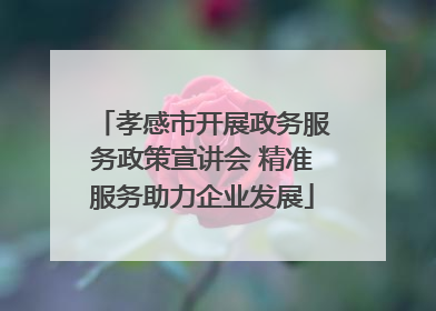 孝感市开展政务服务政策宣讲会 精准服务助力企业发展