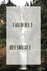宿来拍丨夏日精灵