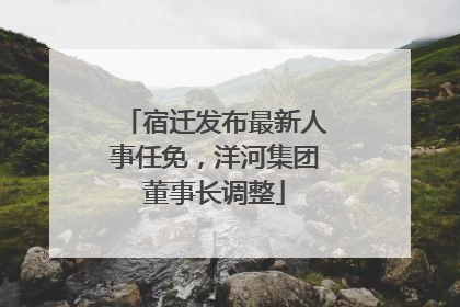 宿迁发布最新人事任免，洋河集团董事长调整
