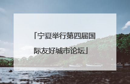 宁夏举行第四届国际友好城市论坛