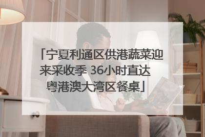 宁夏利通区供港蔬菜迎来采收季 36小时直达粤港澳大湾区餐桌
