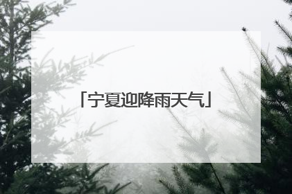 宁夏迎降雨天气