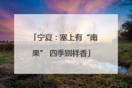宁夏：塞上有“南果” 四季别样香