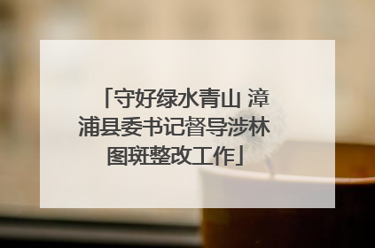 守好绿水青山 漳浦县委书记督导涉林图斑整改工作