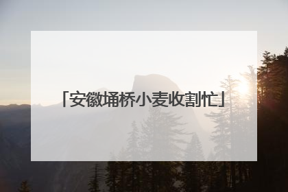 安徽埇桥小麦收割忙