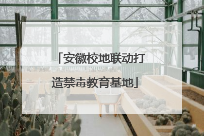 安徽校地联动打造禁毒教育基地