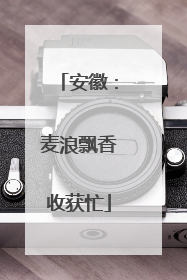 安徽：麦浪飘香收获忙