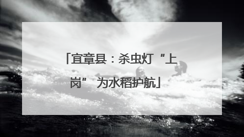 宜章县：杀虫灯“上岗” 为水稻护航