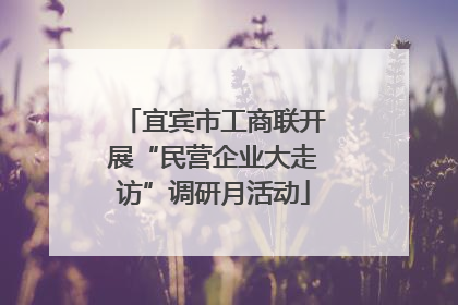 宜宾市工商联开展“民营企业大走访”调研月活动