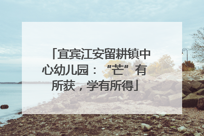 宜宾江安留耕镇中心幼儿园：“芒”有所获，学有所得