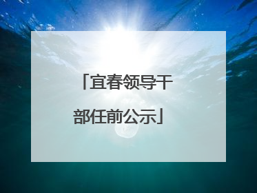 宜春领导干部任前公示