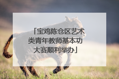 宝鸡陈仓区艺术类青年教师基本功大赛顺利举办