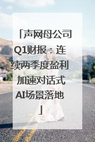 声网母公司Q1财报：连续两季度盈利 加速对话式AI场景落地