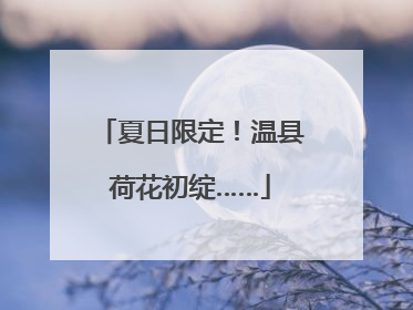 夏日限定！温县荷花初绽……