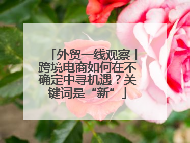 外贸一线观察丨跨境电商如何在不确定中寻机遇？关键词是“新”
