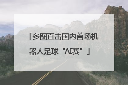 多图直击国内首场机器人足球“AI赛”