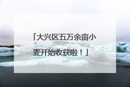 大兴区五万余亩小麦开始收获啦！