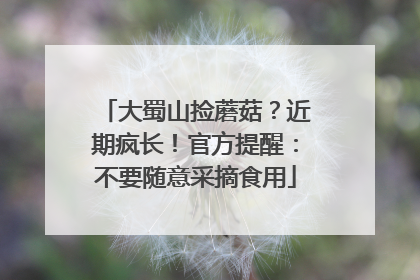 大蜀山捡蘑菇？近期疯长！官方提醒：不要随意采摘食用