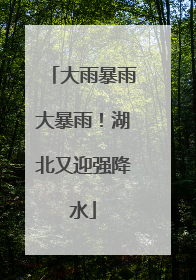 大雨暴雨大暴雨！湖北又迎强降水