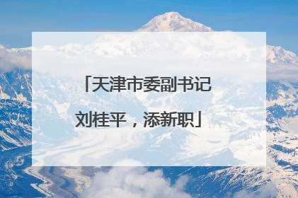 天津市委副书记刘桂平，添新职
