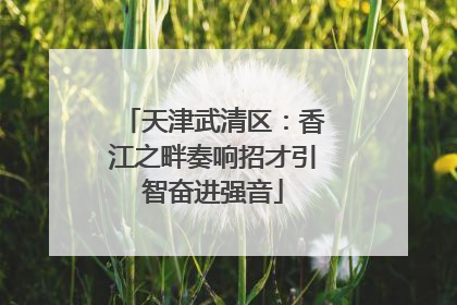 天津武清区：香江之畔奏响招才引智奋进强音