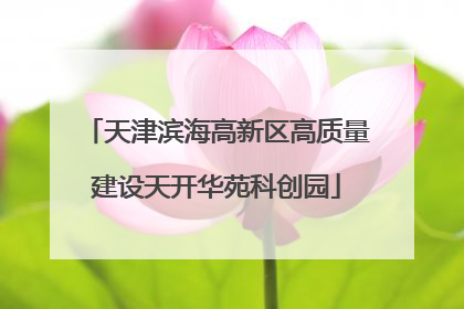 天津滨海高新区高质量建设天开华苑科创园