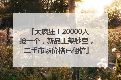 太疯狂！20000人抢一个，新品上架秒空，二手市场价格已翻倍