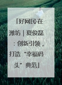 好网民·在潍坊｜夏俊磊：创新引领，打造“幸福码头”典范
