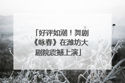 好评如潮！舞剧《咏春》在潍坊大剧院震撼上演