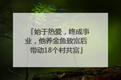 始于热爱，终成事业，他养金鱼致富后带动18个村共富