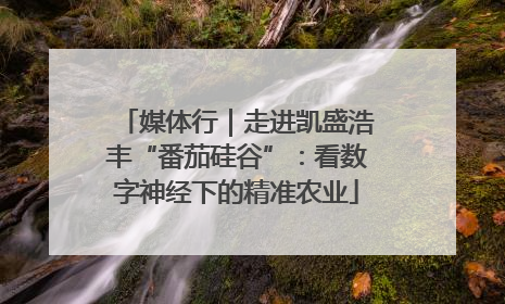 媒体行｜走进凯盛浩丰“番茄硅谷”：看数字神经下的精准农业