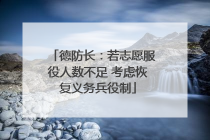 德防长：若志愿服役人数不足 考虑恢复义务兵役制