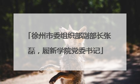 徐州市委组织部副部长张磊，履新学院党委书记
