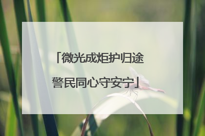 微光成炬护归途 警民同心守安宁