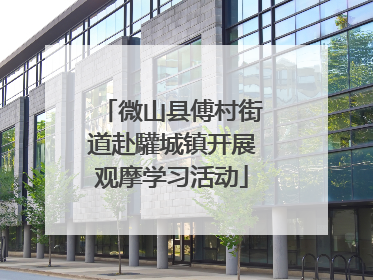 微山县傅村街道赴驩城镇开展观摩学习活动