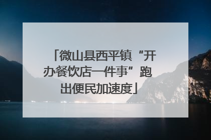 微山县西平镇“开办餐饮店一件事”跑出便民加速度