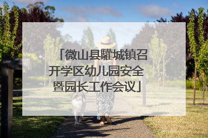 微山县驩城镇召开学区幼儿园安全暨园长工作会议