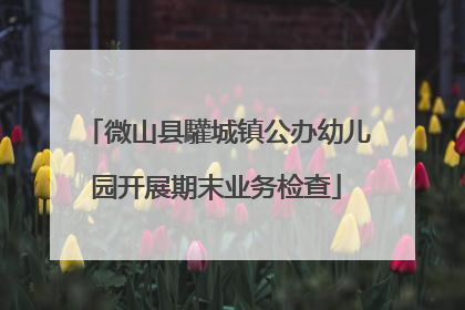 微山县驩城镇公办幼儿园开展期末业务检查