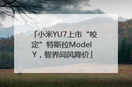 小米YU7上市“咬定”特斯拉Model Y，智界闻风降价