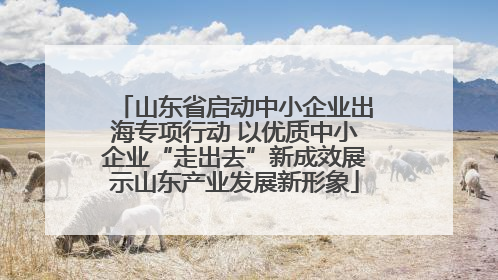 山东省启动中小企业出海专项行动 以优质中小企业“走出去”新成效展示山东产业发展新形象