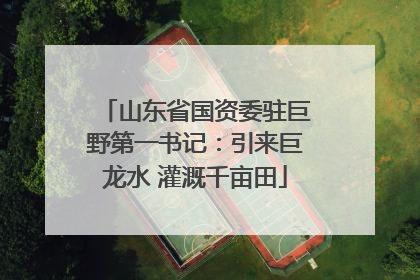 山东省国资委驻巨野第一书记：引来巨龙水 灌溉千亩田